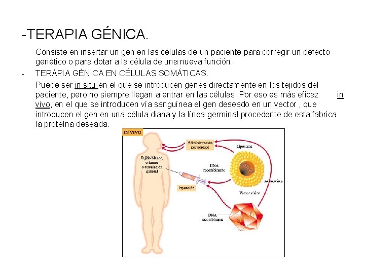 -TERAPIA GÉNICA. - Consiste en insertar un gen en las células de un paciente