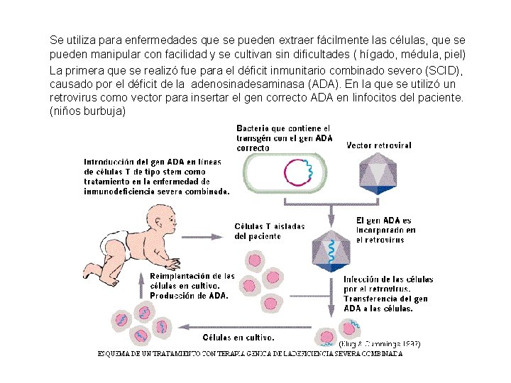 Se utiliza para enfermedades que se pueden extraer fácilmente las células, que se pueden