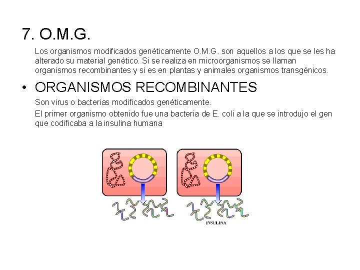 7. O. M. G. Los organismos modificados genéticamente O. M. G. son aquellos a