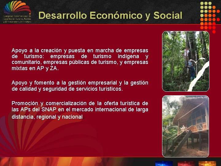Desarrollo Económico y Social Apoyo a la creación y puesta en marcha de empresas Desarrollo Económico y Social Apoyo a la creación y puesta en marcha de empresas