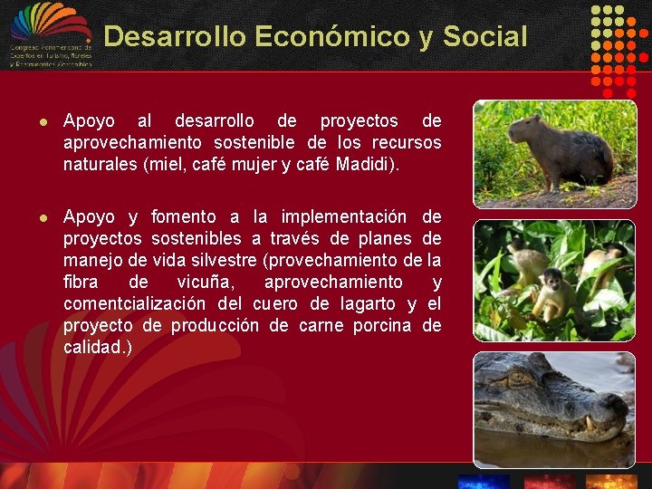 Desarrollo Económico y Social l Apoyo al desarrollo de proyectos de aprovechamiento sostenible de Desarrollo Económico y Social l Apoyo al desarrollo de proyectos de aprovechamiento sostenible de
