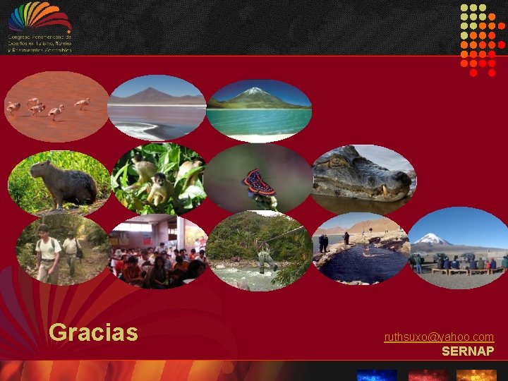 Gracias ruthsuxo@yahoo. com SERNAP Gracias ruthsuxo@yahoo. com SERNAP