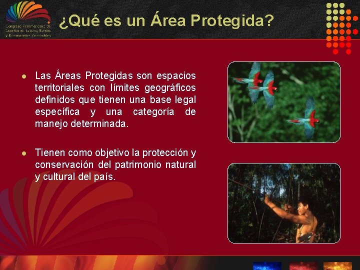 ¿Qué es un Área Protegida? l Las Áreas Protegidas son espacios territoriales con límites ¿Qué es un Área Protegida? l Las Áreas Protegidas son espacios territoriales con límites