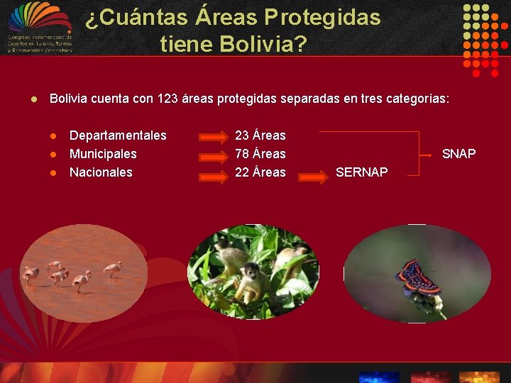 ¿Cuántas Áreas Protegidas tiene Bolivia? l Bolivia cuenta con 123 áreas protegidas separadas en ¿Cuántas Áreas Protegidas tiene Bolivia? l Bolivia cuenta con 123 áreas protegidas separadas en