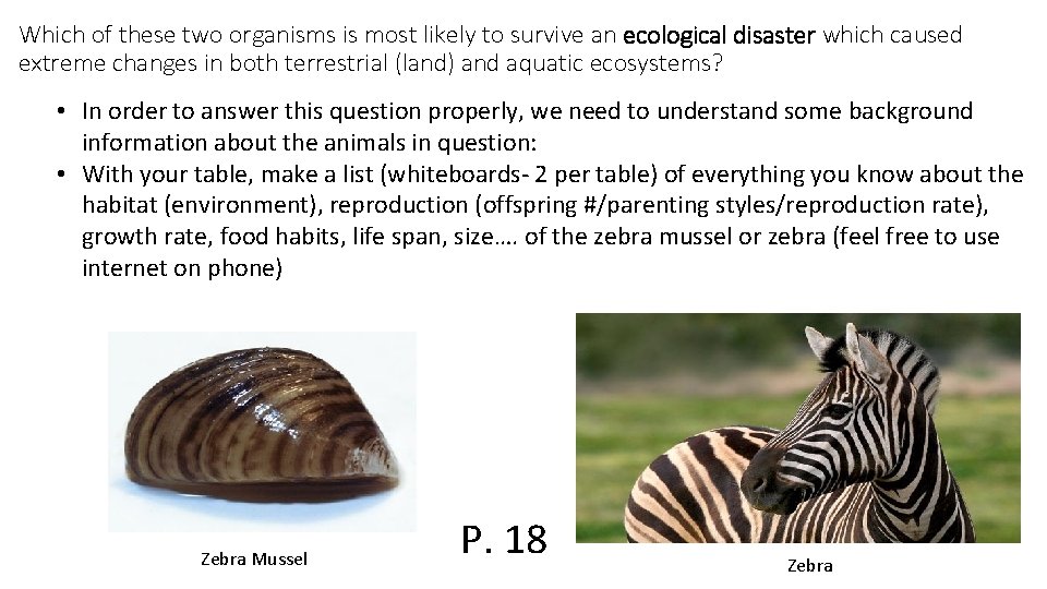 Which of these two organisms is most likely to survive an ecological disaster which