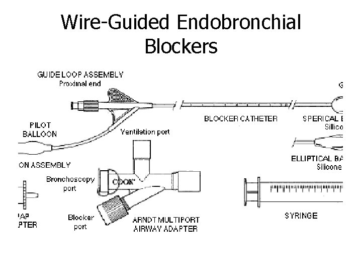 Wire-Guided Endobronchial Blockers 