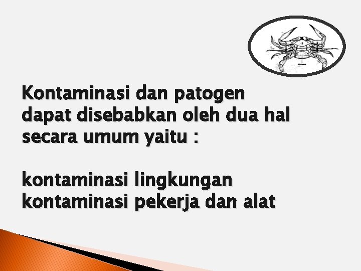 Kontaminasi dan patogen dapat disebabkan oleh dua hal secara umum yaitu : kontaminasi lingkungan