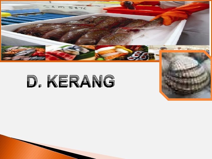 FROZEN SEAFOOD (CRAB) D. KERANG 