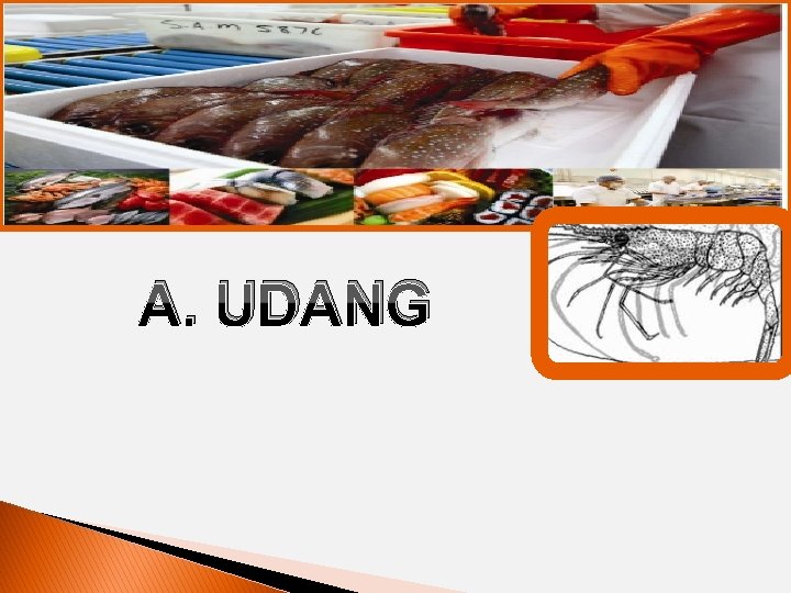 FROZEN SEAFOOD (CRAB) A. UDANG 