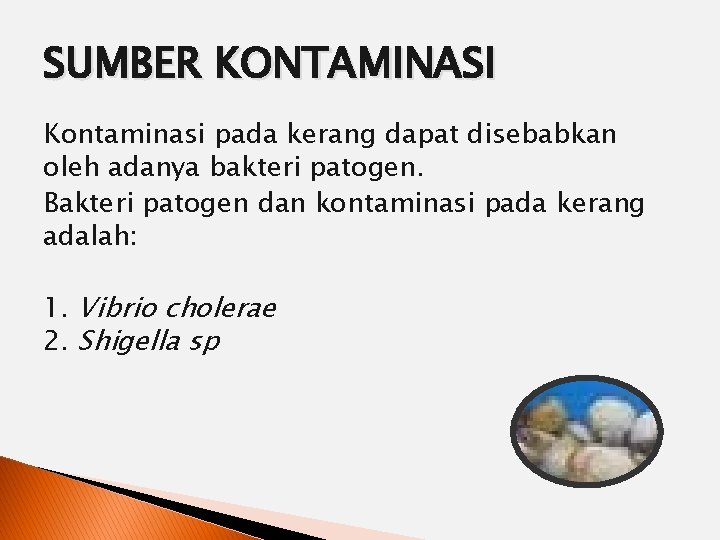 SUMBER KONTAMINASI Kontaminasi pada kerang dapat disebabkan oleh adanya bakteri patogen. Bakteri patogen dan