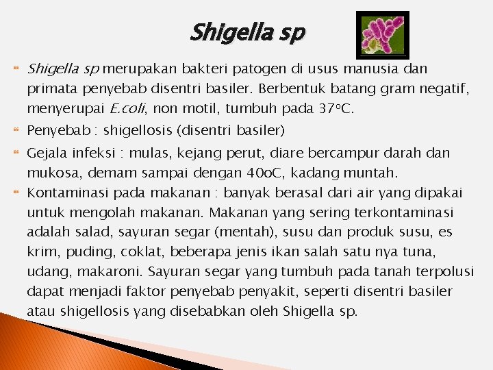 Shigella sp merupakan bakteri patogen di usus manusia dan primata penyebab disentri basiler. Berbentuk