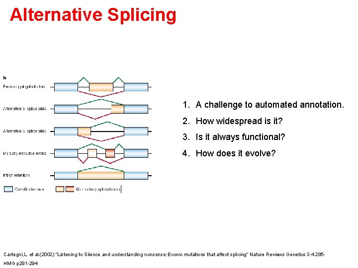 Alternative Splicing 1. A challenge to automated annotation. 2. How widespread is it? 3.