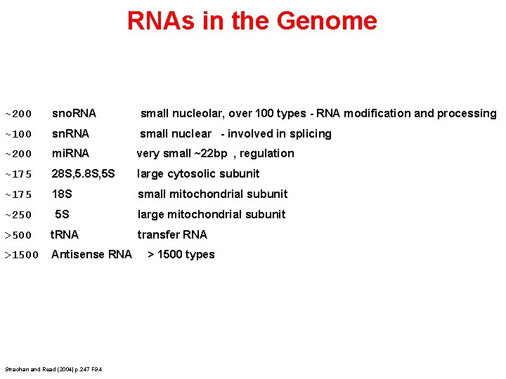 RNAs in the Genome ~200 sno. RNA small nucleolar, over 100 types - RNA