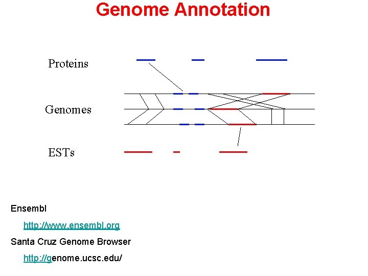 Genome Annotation Proteins Genomes ESTs Ensembl http: //www. ensembl. org Santa Cruz Genome Browser