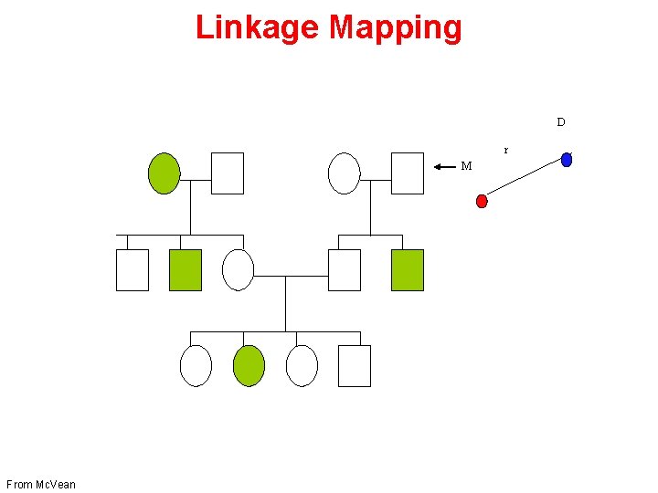 Linkage Mapping D r M From Mc. Vean 