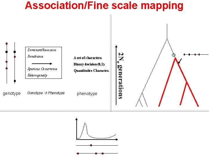 Association/Fine scale mapping Dominant/Recessive. A set of characters. Binary decision (0, 1). Spurious Occurrence