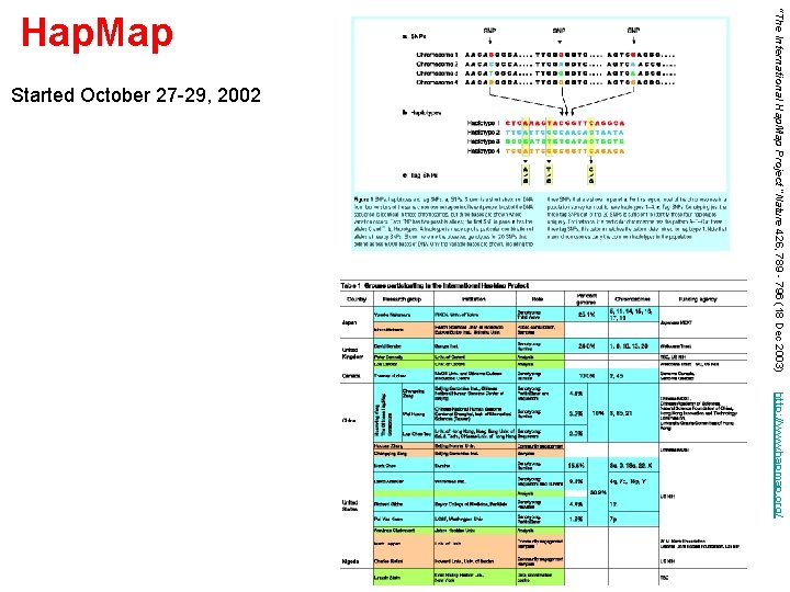 Started October 27 -29, 2002 “The International Hap. Map Project “Nature 426, 789 -