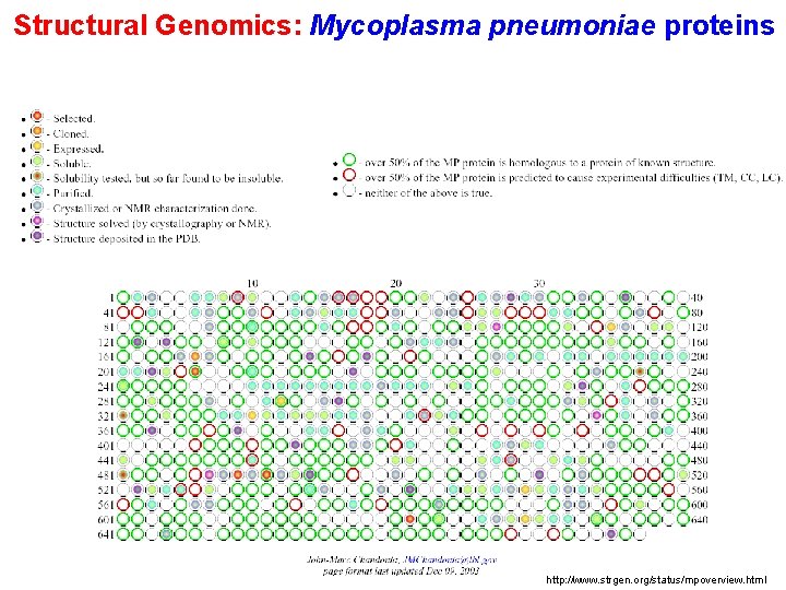 Structural Genomics: Mycoplasma pneumoniae proteins http: //www. strgen. org/status/mpoverview. html 