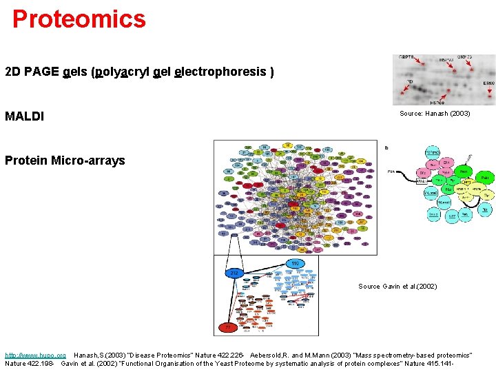 Proteomics 2 D PAGE gels (polyacryl gel electrophoresis ) MALDI Source: Hanash (2003) Protein