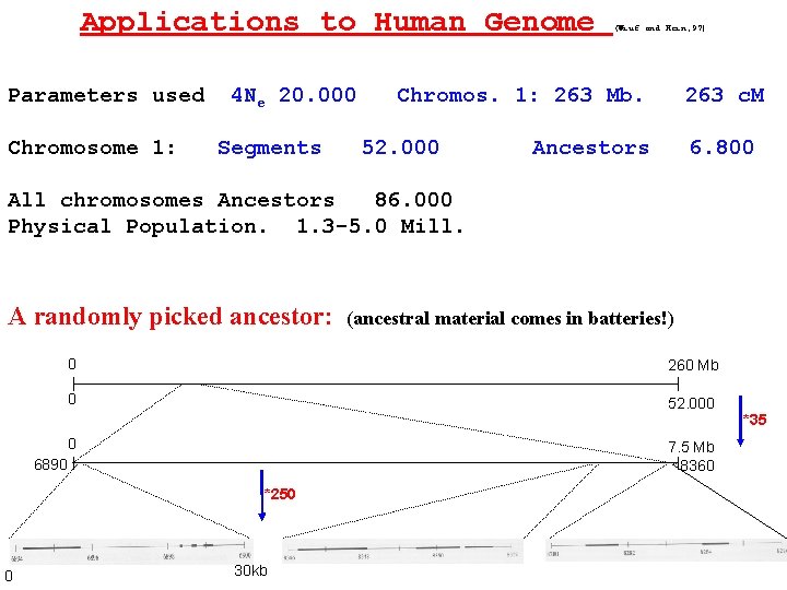 Applications to Human Genome Parameters used Chromosome 1: 4 Ne 20. 000 Segments (Wiuf
