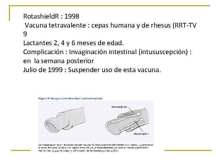 Rotashield. R : 1998 Vacuna tetravalente : cepas humana y de rhesus (RRT-TV 9