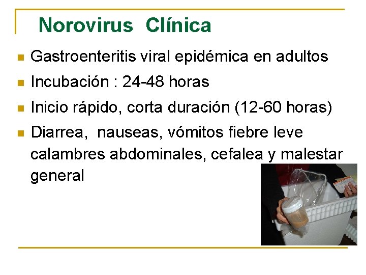 Norovirus Clínica n Gastroenteritis viral epidémica en adultos n Incubación : 24 -48 horas