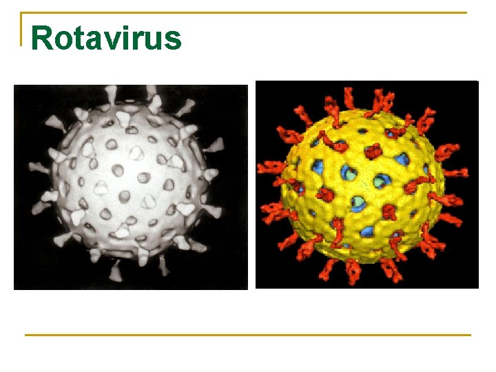 Rotavirus 