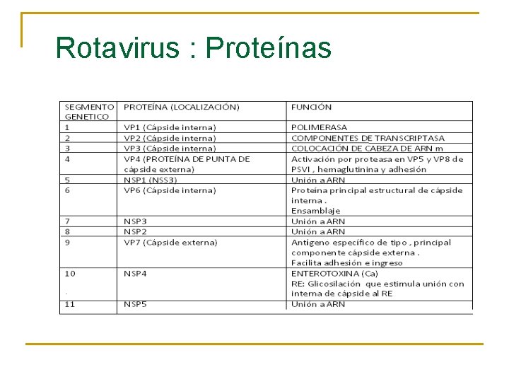 Rotavirus : Proteínas 