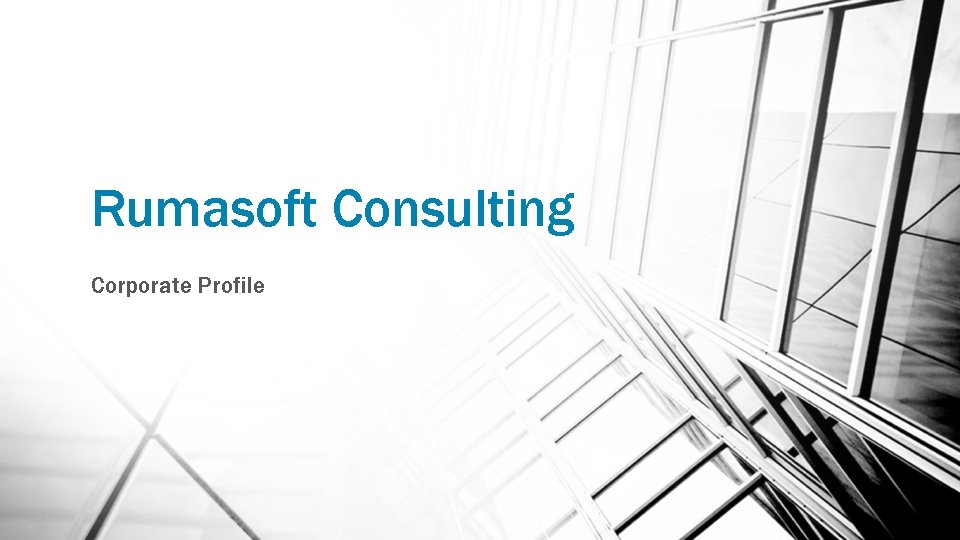 Rumasoft Consulting Corporate Profile 