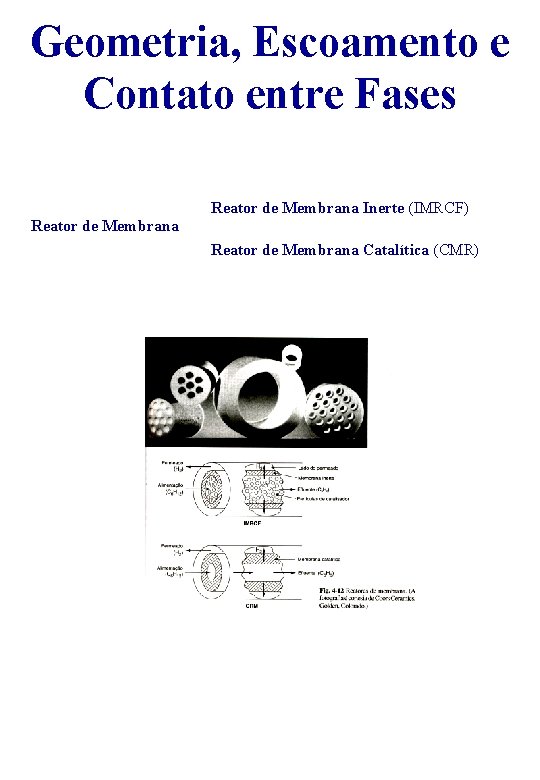 Geometria, Escoamento e Contato entre Fases Reator de Membrana Inerte (IMRCF) Reator de Membrana