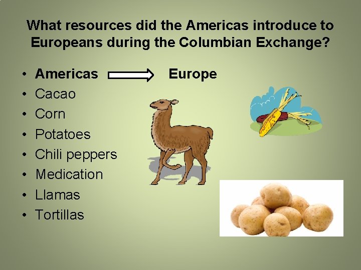 What resources did the Americas introduce to Europeans during the Columbian Exchange? • •