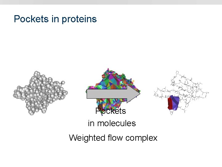 Pockets in proteins Pockets in molecules Weighted flow complex 