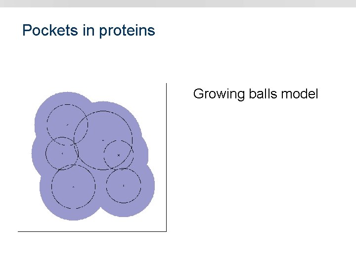 Pockets in proteins Growing balls model 