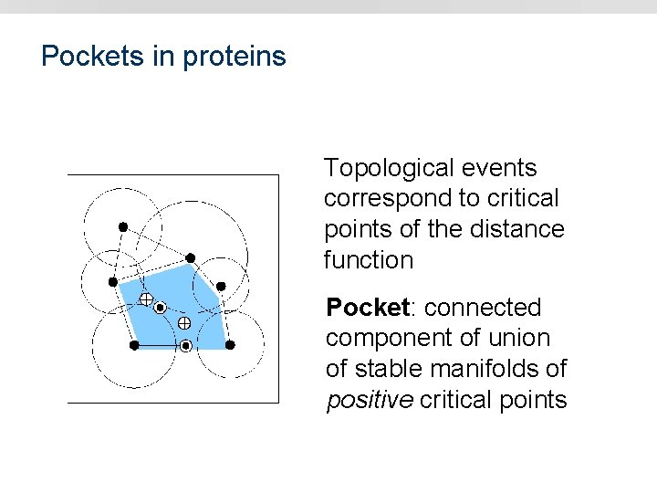 Pockets in proteins Topological events correspond to critical points of the distance function Pocket: