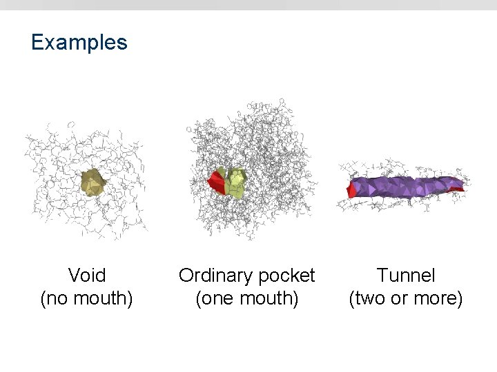 Examples Void (no mouth) Ordinary pocket (one mouth) Tunnel (two or more) 