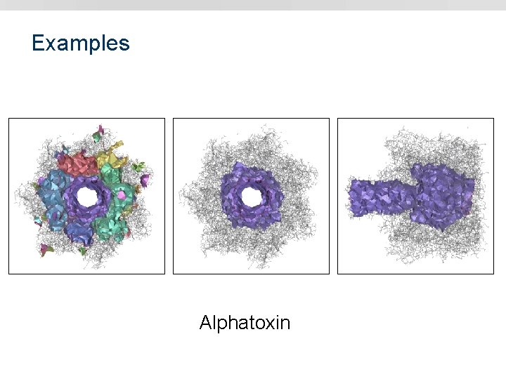 Examples Alphatoxin 