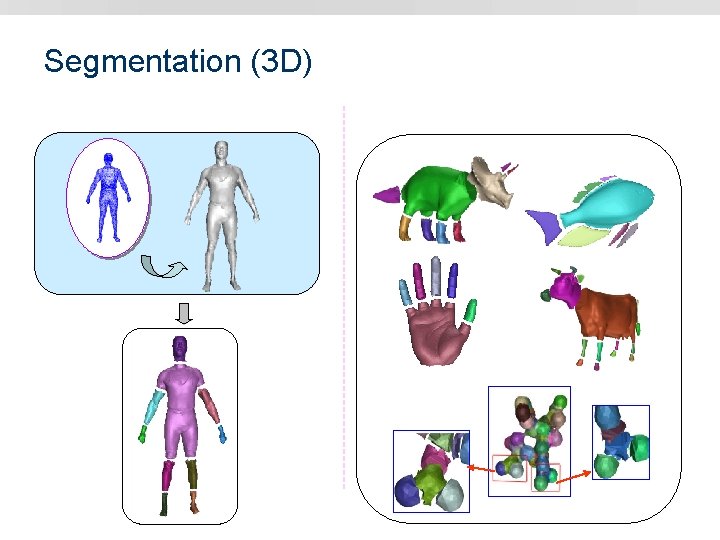 Segmentation (3 D) 