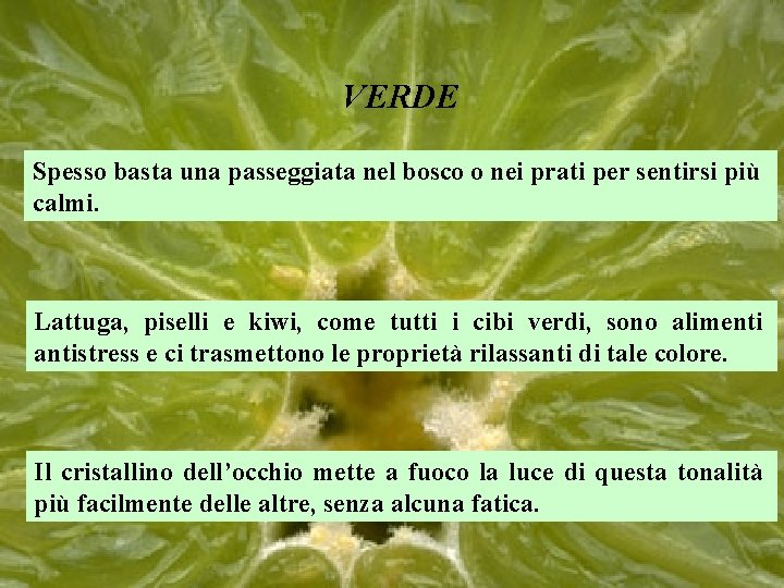 VERDE Spesso basta una passeggiata nel bosco o nei prati per sentirsi più calmi.