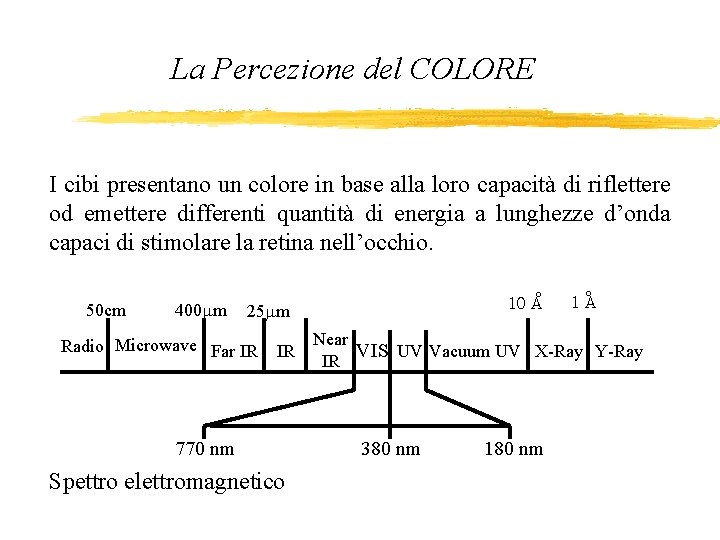 La Percezione del COLORE I cibi presentano un colore in base alla loro capacità