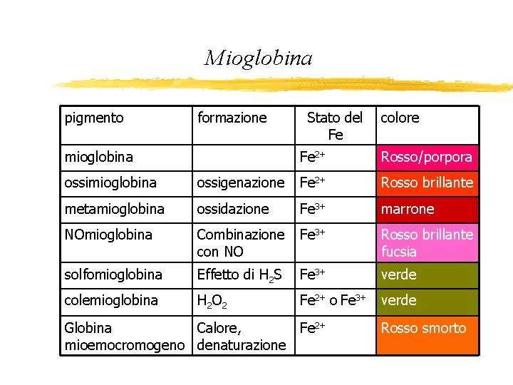 Mioglobina pigmento formazione mioglobina Stato del Fe colore Fe 2+ Rosso/porpora ossimioglobina ossigenazione Fe