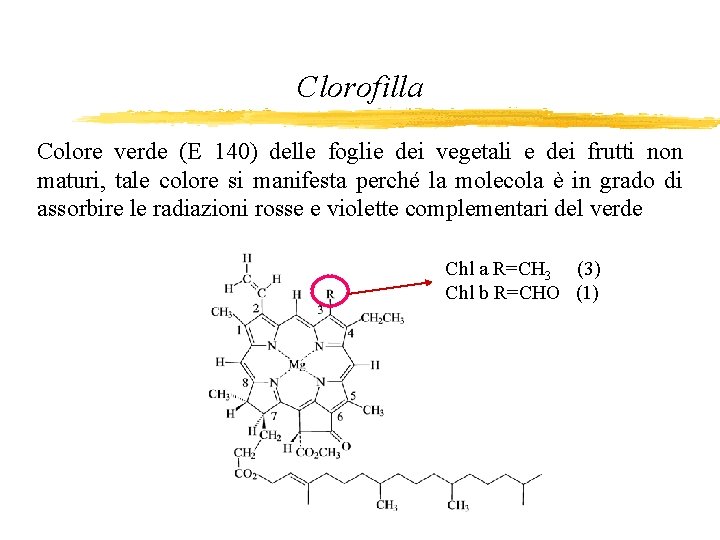 Clorofilla Colore verde (E 140) delle foglie dei vegetali e dei frutti non maturi,