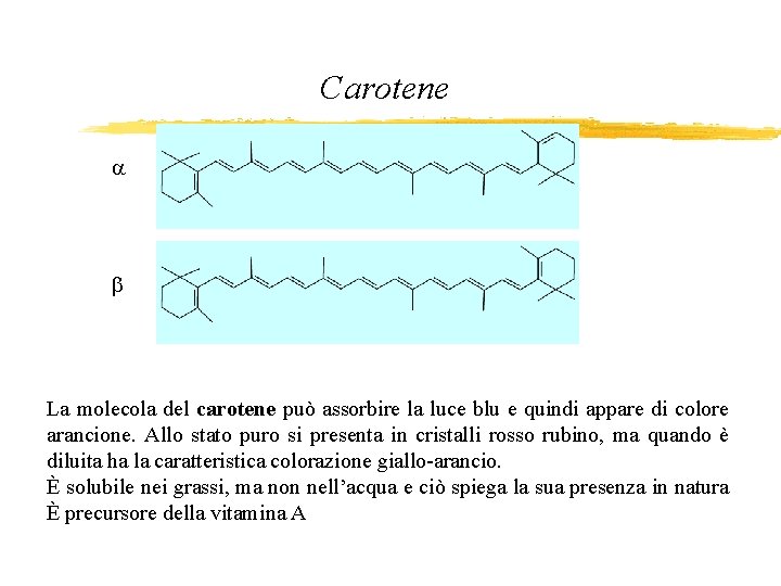 Carotene a b La molecola del carotene può assorbire la luce blu e quindi