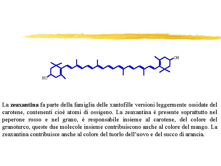 OH HO La zeaxantina fa parte della famiglia delle xantofille versioni leggermente ossidate del