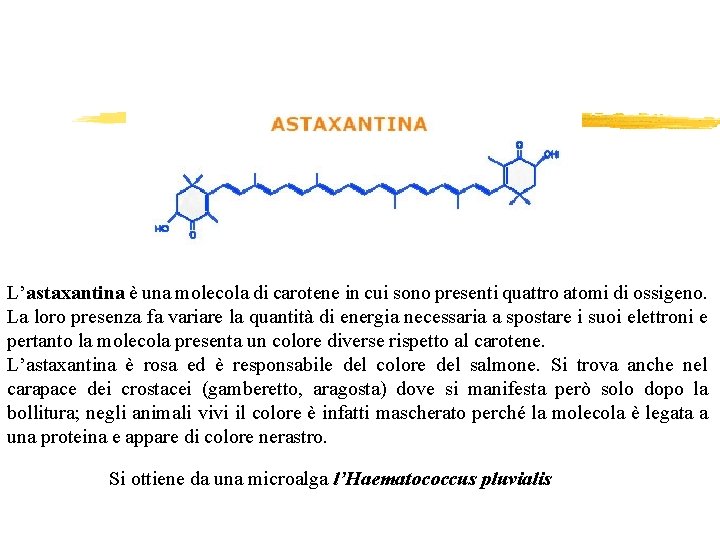 L’astaxantina è una molecola di carotene in cui sono presenti quattro atomi di ossigeno.