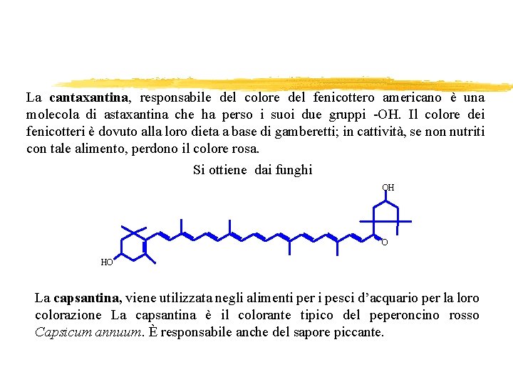 La cantaxantina, responsabile del colore del fenicottero americano è una molecola di astaxantina che