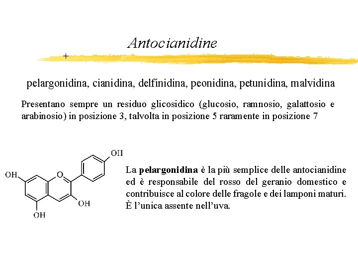 + Antocianidine pelargonidina, cianidina, delfinidina, peonidina, petunidina, malvidina Presentano sempre un residuo glicosidico (glucosio,