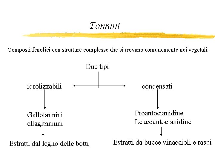 Tannini Composti fenolici con strutture complesse che si trovano comunemente nei vegetali. Due tipi