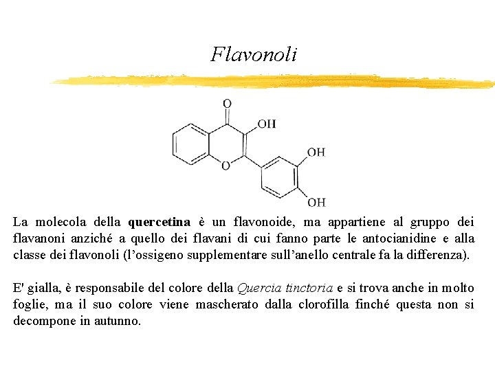 Flavonoli La molecola della quercetina è un flavonoide, ma appartiene al gruppo dei flavanoni