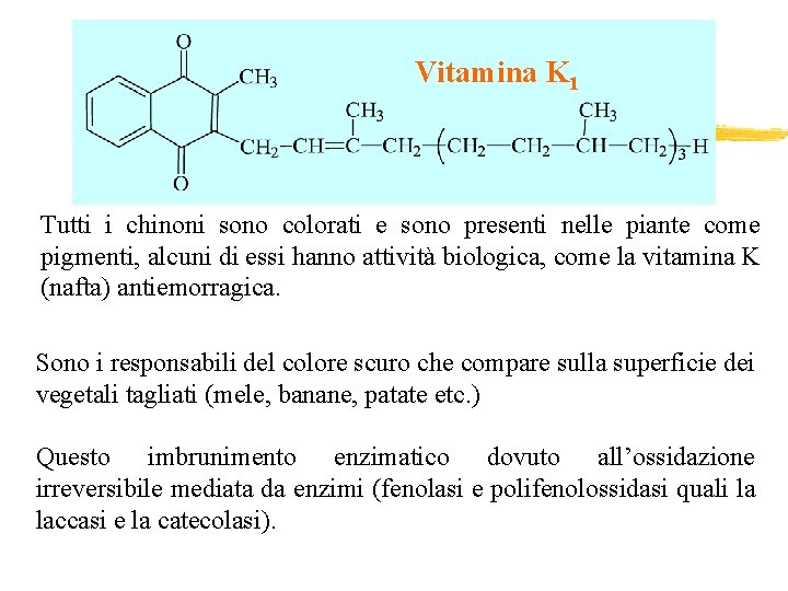 Vitamina K 1 Tutti i chinoni sono colorati e sono presenti nelle piante come