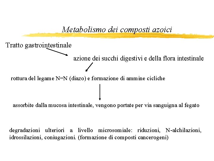 Metabolismo dei composti azoici Tratto gastrointestinale azione dei succhi digestivi e della flora intestinale